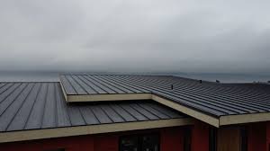 Best Storm Damage Roof Repair  in Mason City, IL